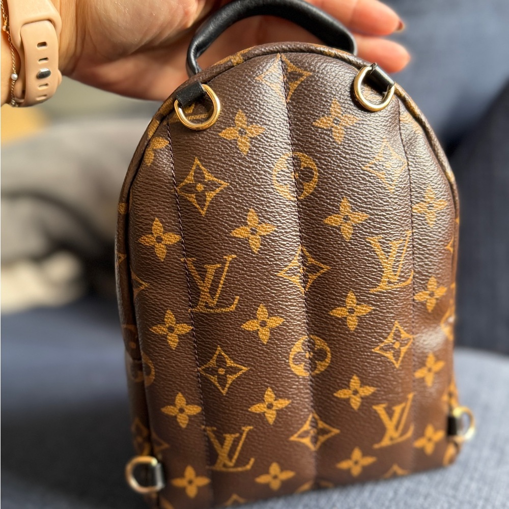 Louis Vuitton Monogram Mini Palm Spring Backpack - Picture 4 of 16